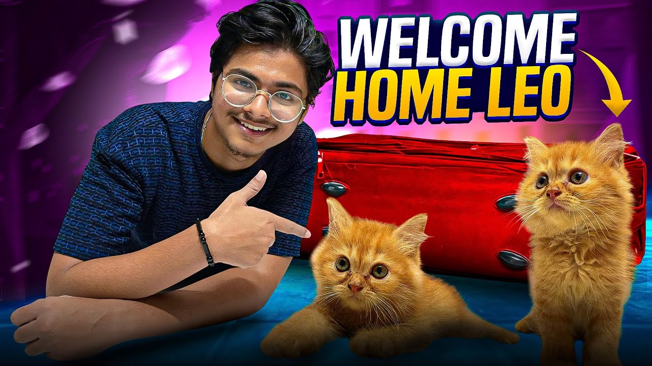 গরু পাগলার বাসায় বিদেশি বিড়াল | Welcome Home Leo | Shafin The Vloger Boy |