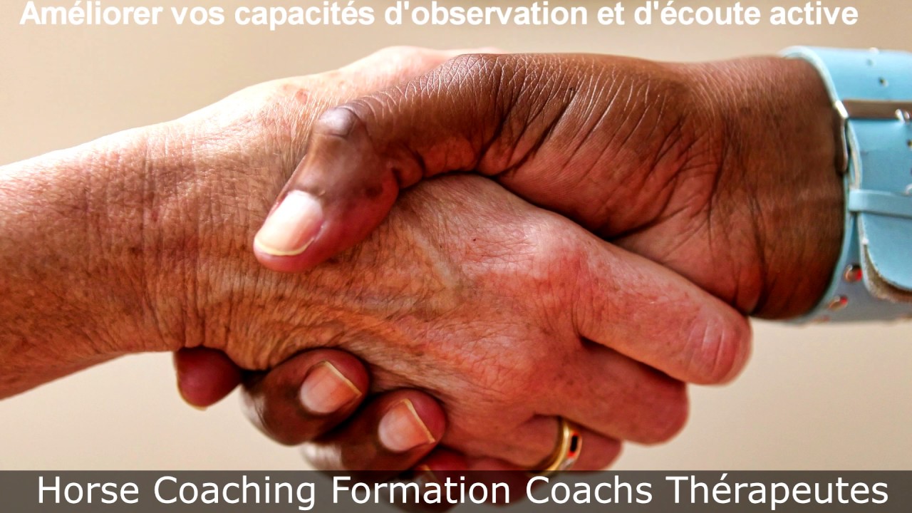 Horse Coaching Formation, formations Horse Coaching, par Equicoaching Events