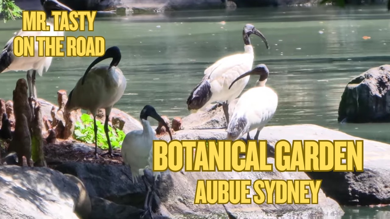 This Peaceful Japanese Garden Has a Wild Side