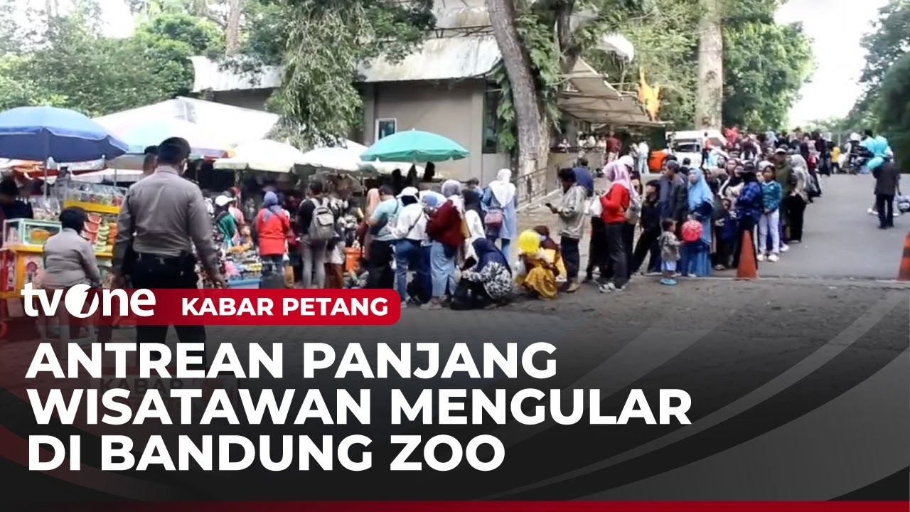Masyarakat Berwisata ke Bandung Zoo | Kabar Petang