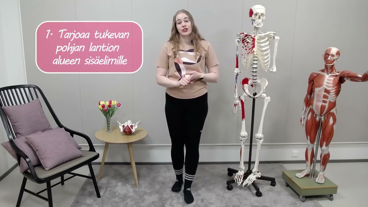 HYVAEP: Pettämätön lantionpohja: Lantionpohjan anatomia ja fysiologia