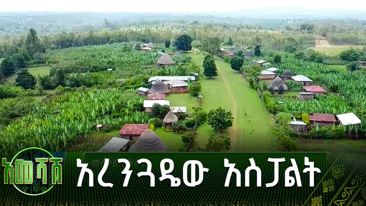 አረንጓዴው አስፓልት | አመሻሽ | Ameshash