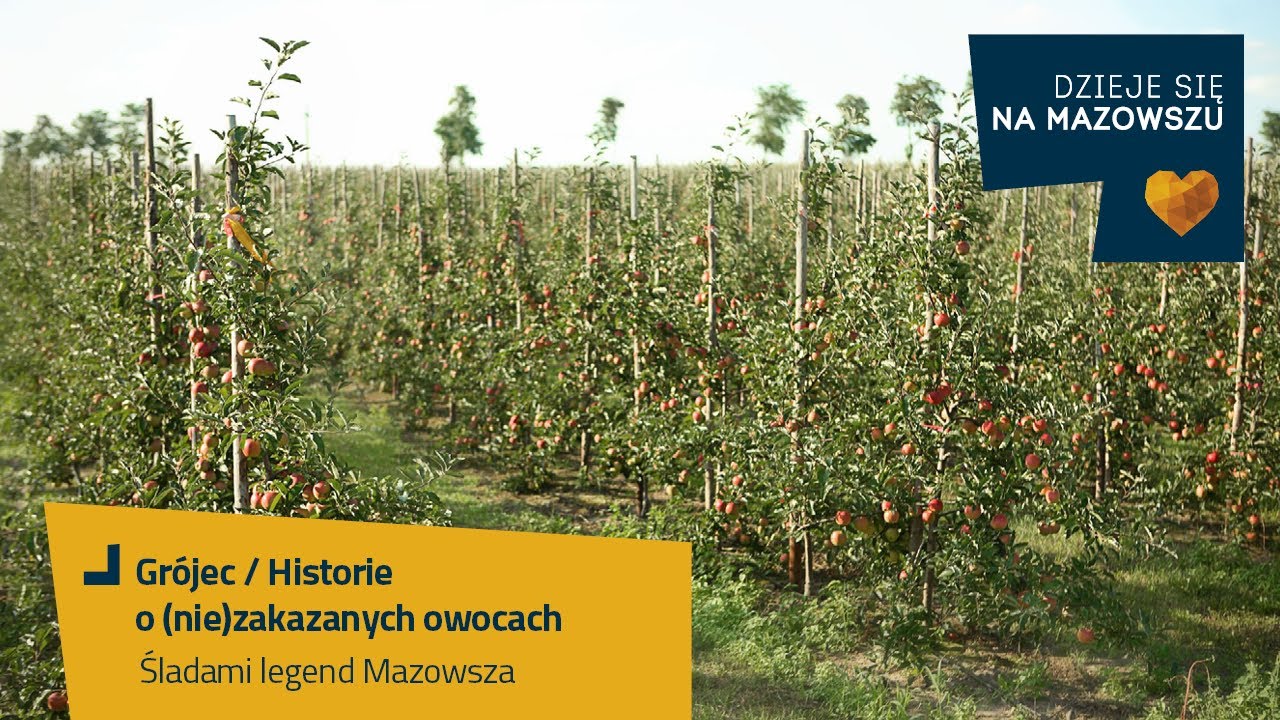 Śladami legend Mazowsza - Historie o (nie)zakazanych owocach / Grójec
