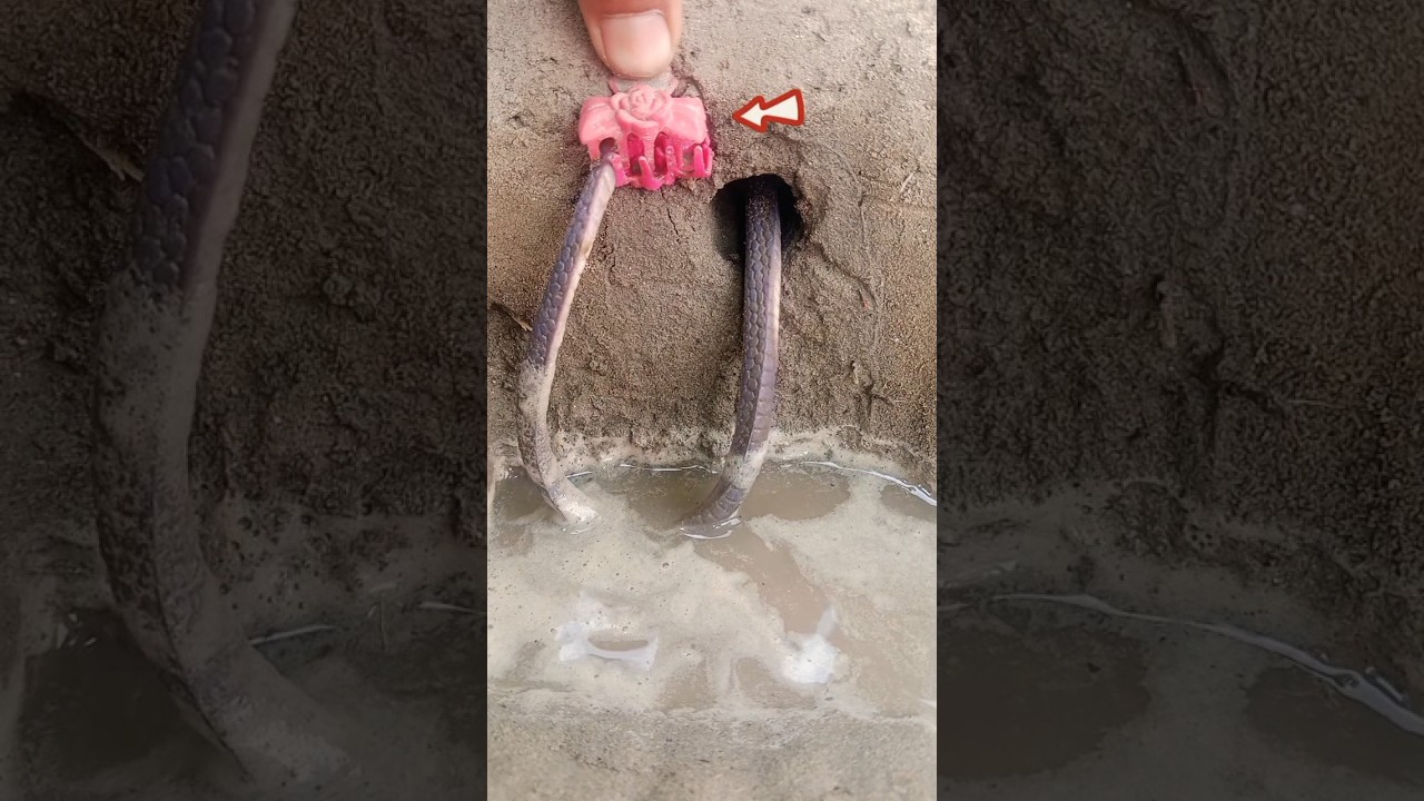 locked tools skills vs rubber snake power 😱
