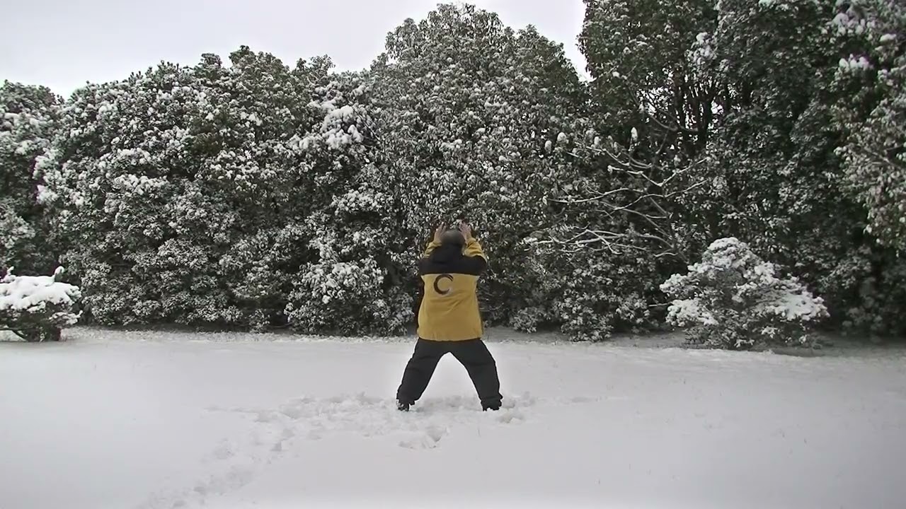 雪上の常式太極拳43式(方架) (2.8)　2026東瀛太極拳社