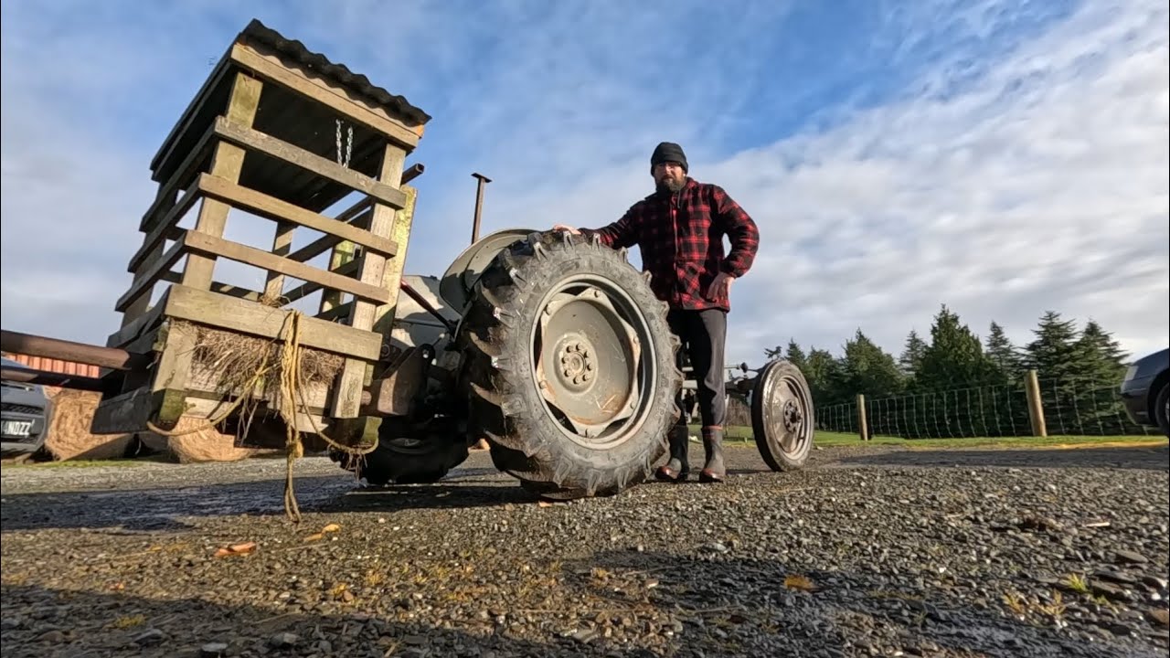 Winter FeedOut For Our Animals Utilizing My Vintage TEA 20 Ferguson Tractor & Free Feeder!