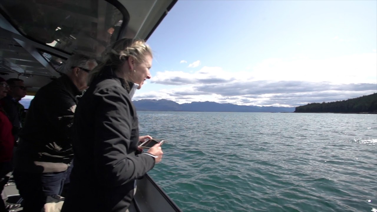 Whale Watching Adventure - Icy Strait, Alaska
