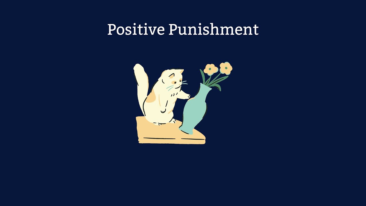Positive Punishment