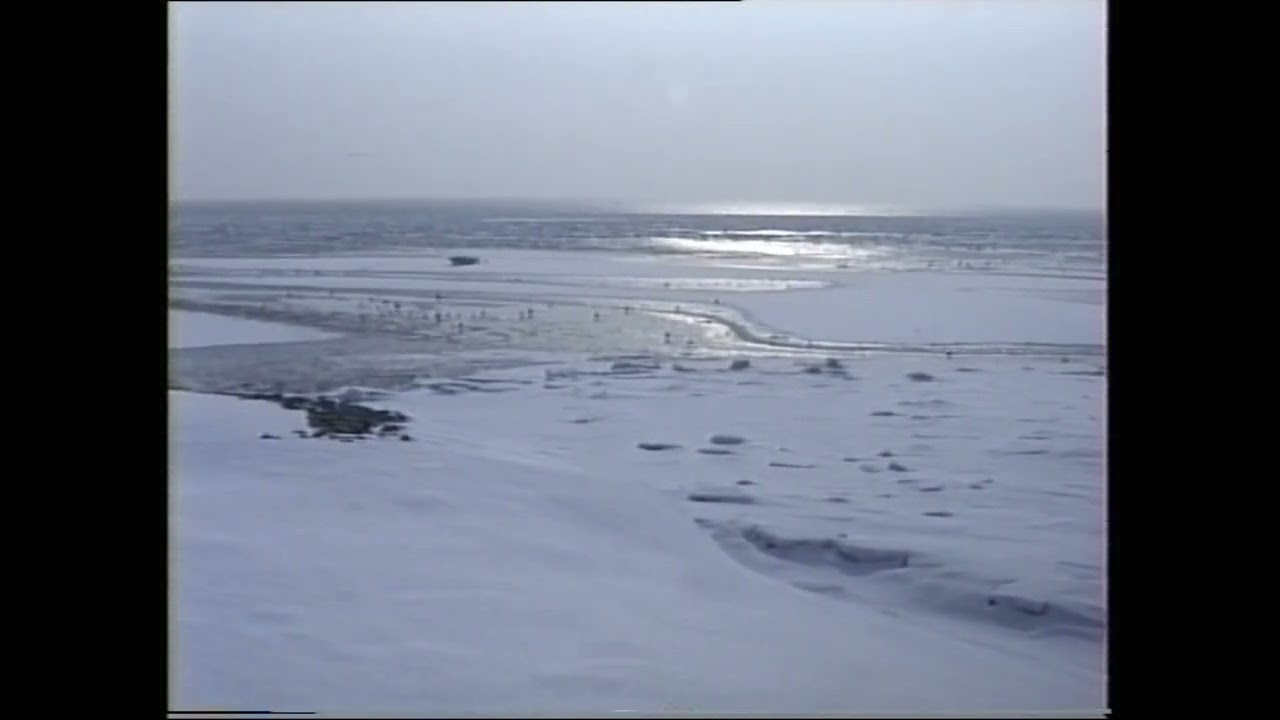 Winterbeelden 1994