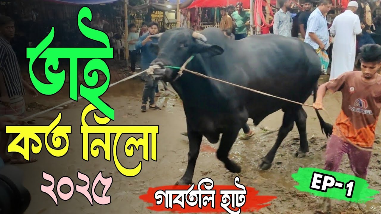 Bhai Koto Nilo 2025🐄 Gabtoli Gorur Haat 2025 | Qurbani Cow Price 2025 today | EP-1