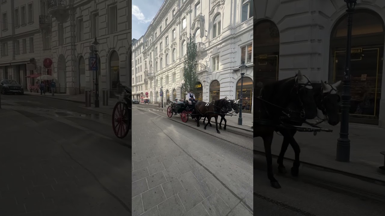 #wienliebe