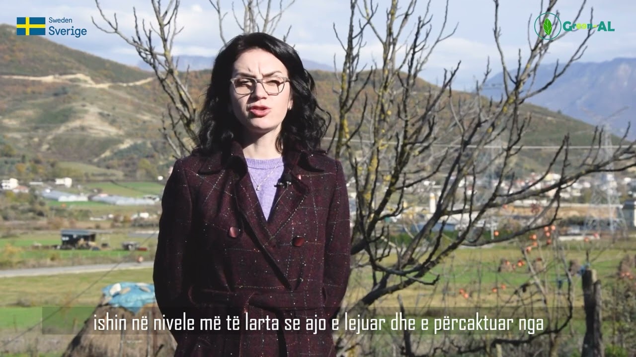 Prezantimi i projektit 