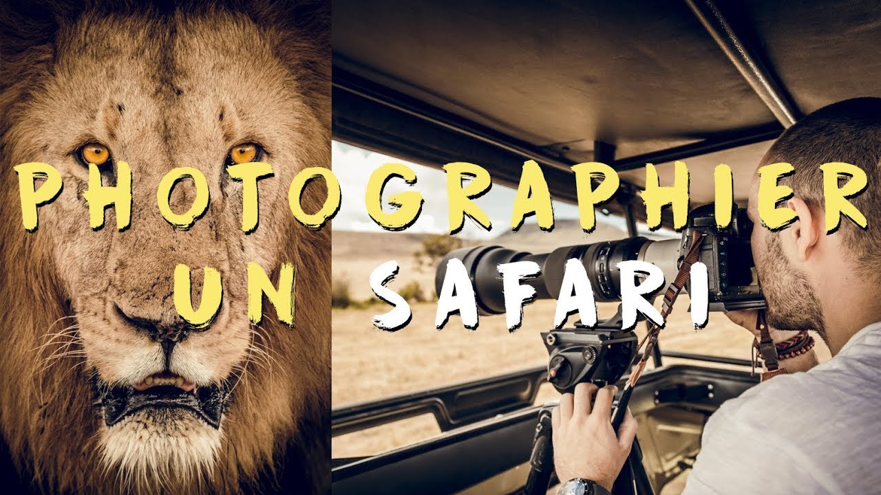 SAFARI: Matériel photo indispensable & débat sur les enjeux éthiques