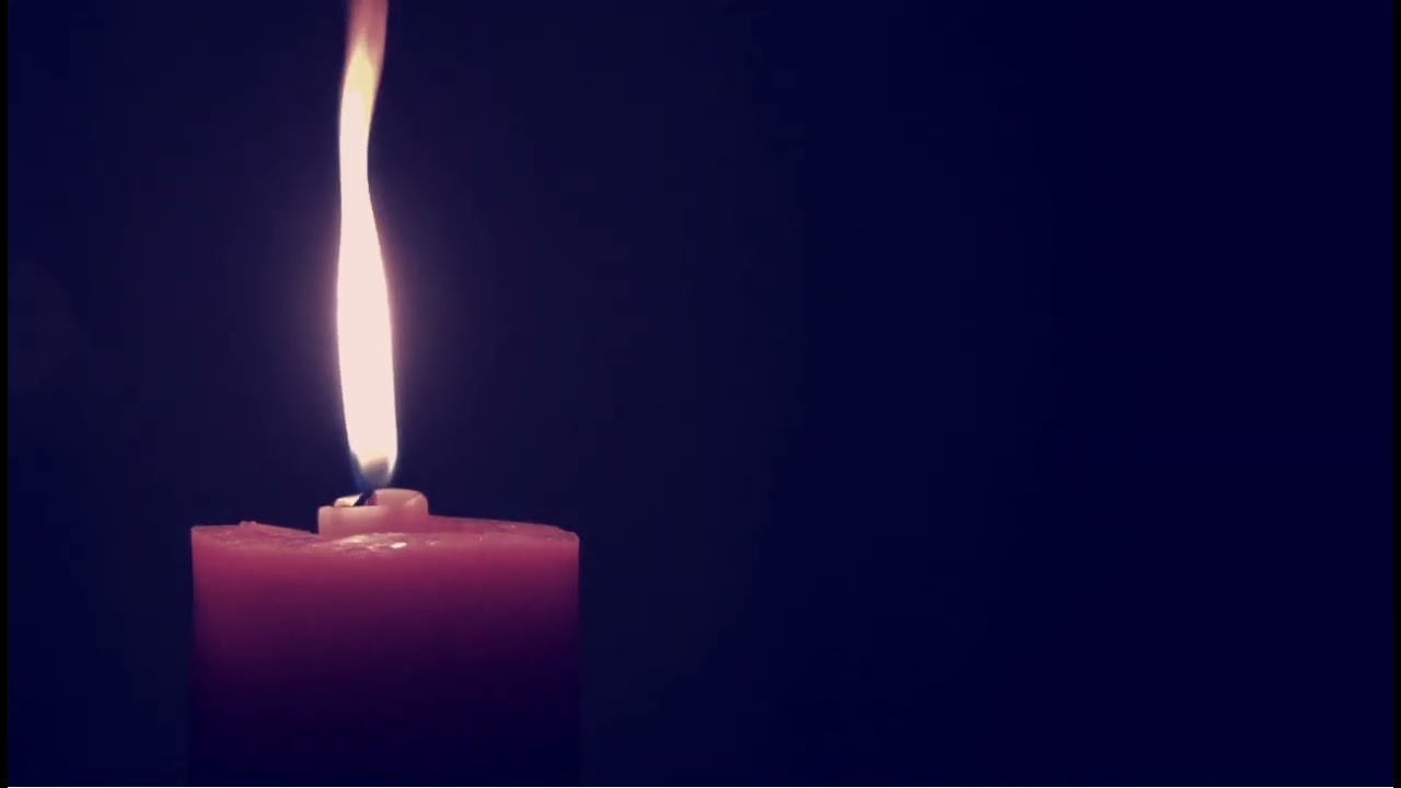 Salmo 1
