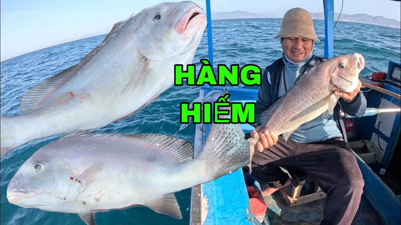 881 ) MỚI MỞ BIỂN LẠI, XUỐNG CÂU GẶP HÀNG HIẾM Ở TẠI HÒN MỘT.