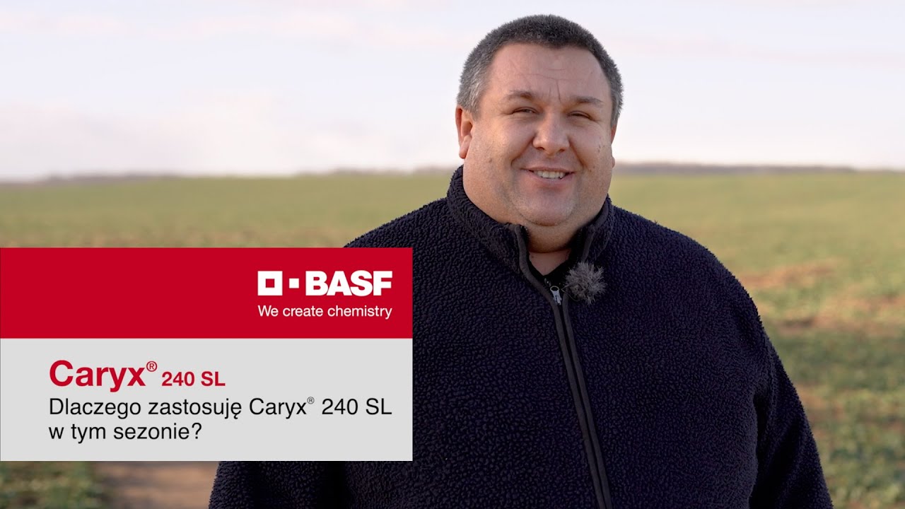 Poznaj regulator wzrostu Caryx&reg; 240 SL o sile fungicydu na rzepak