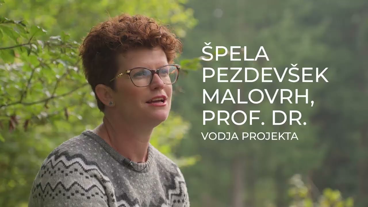 Vpliv podnebnih sprememb na gozdove - Raziskovalni projekt UL BF 2025