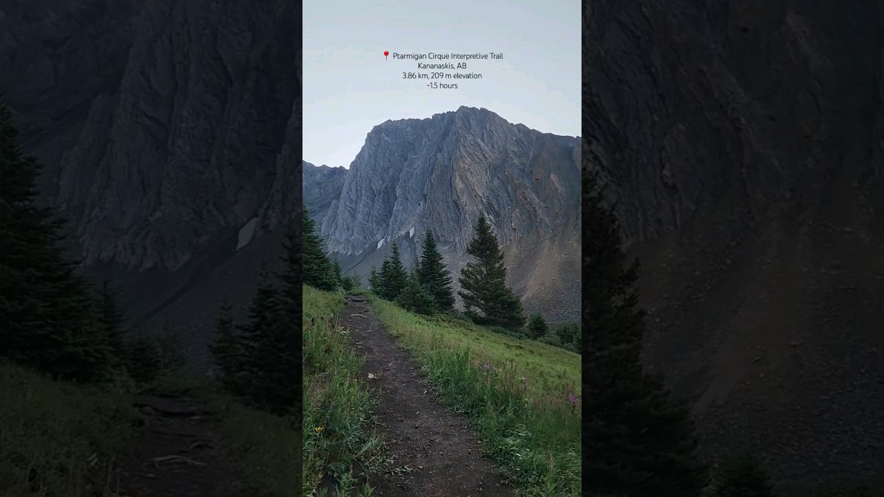 🌼 Ptarmigan Cirque Interpretive Trail - Kananaskis, AB 