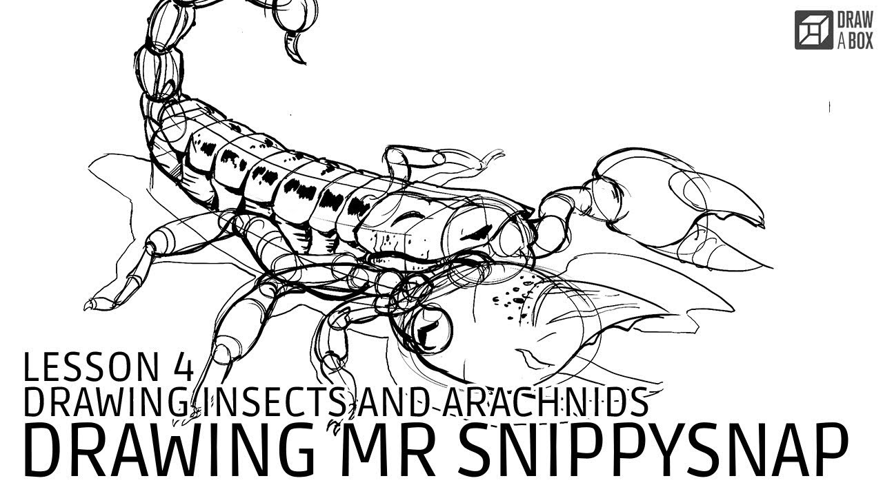 Drawabox Lesson 4, Drawing Insects and Arachnids: Drawing A Scorpion