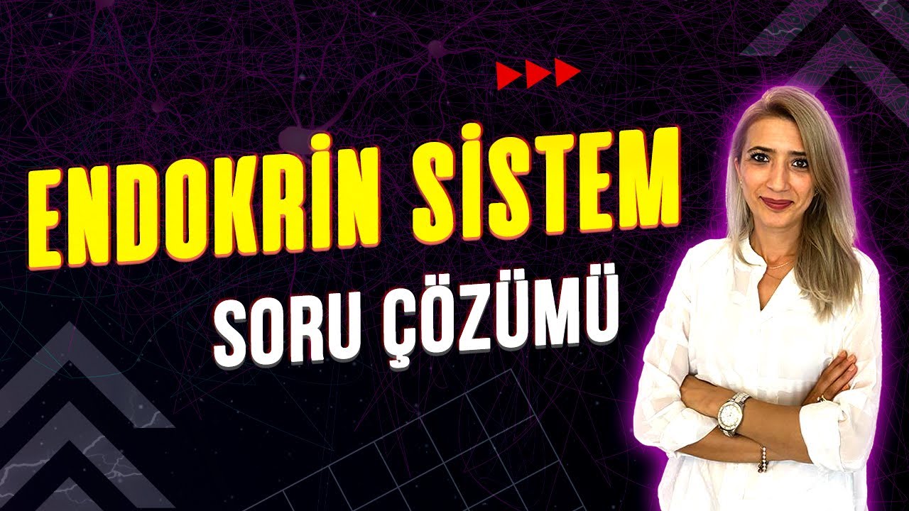 ENDOKRİN SİSTEM 💯 SORU ÇÖZÜMÜ l  Seda Hoca Biyoloji #ayt2023