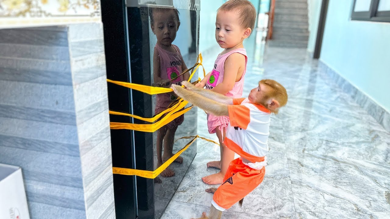 Monkey Kaka and Diem tried to break the rope to open the fridge, so funny