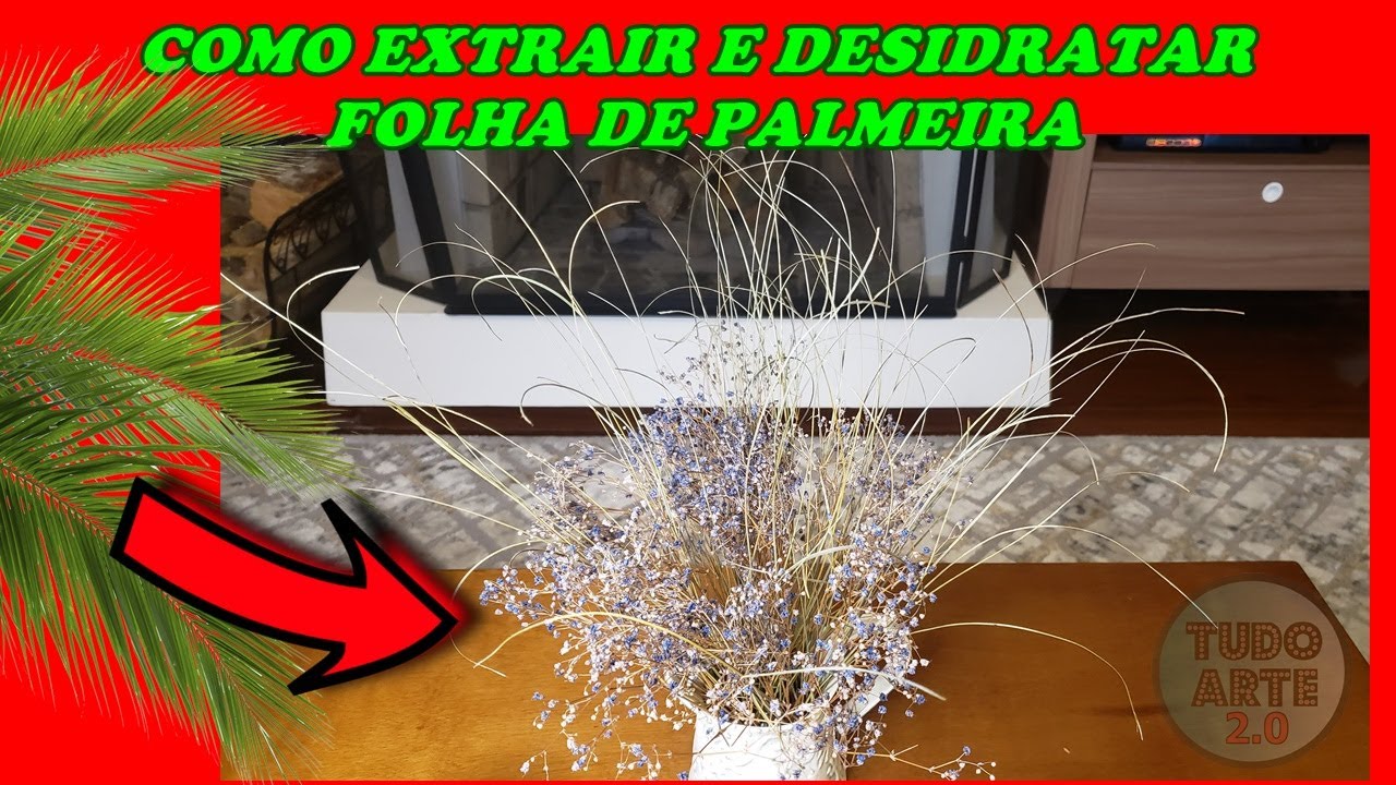 Como Extrair e Desidratar Folha de Palmeira ou Coqueiro