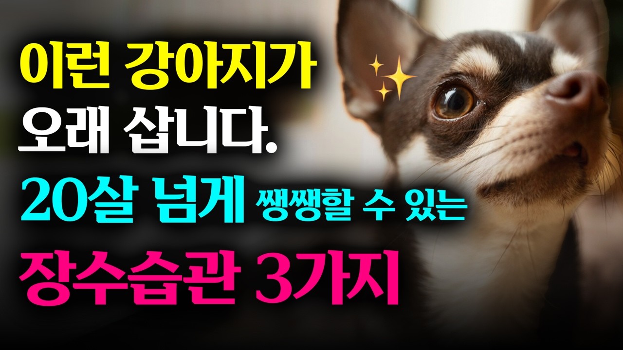노견 키우신다면 필독! 우리 강아지 20살넘어도 팔팔하게 살수있는 꿀팁 3가지. 우리 강아지 장수하는 방법