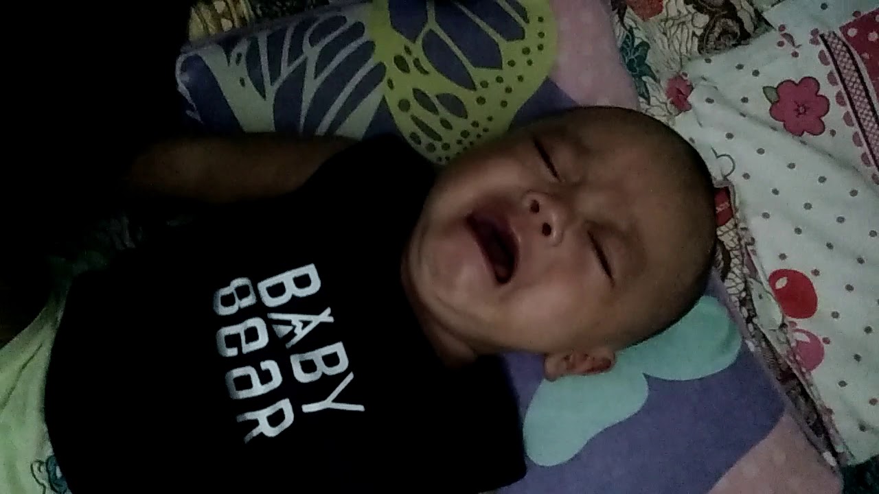 Baby Bear Crying