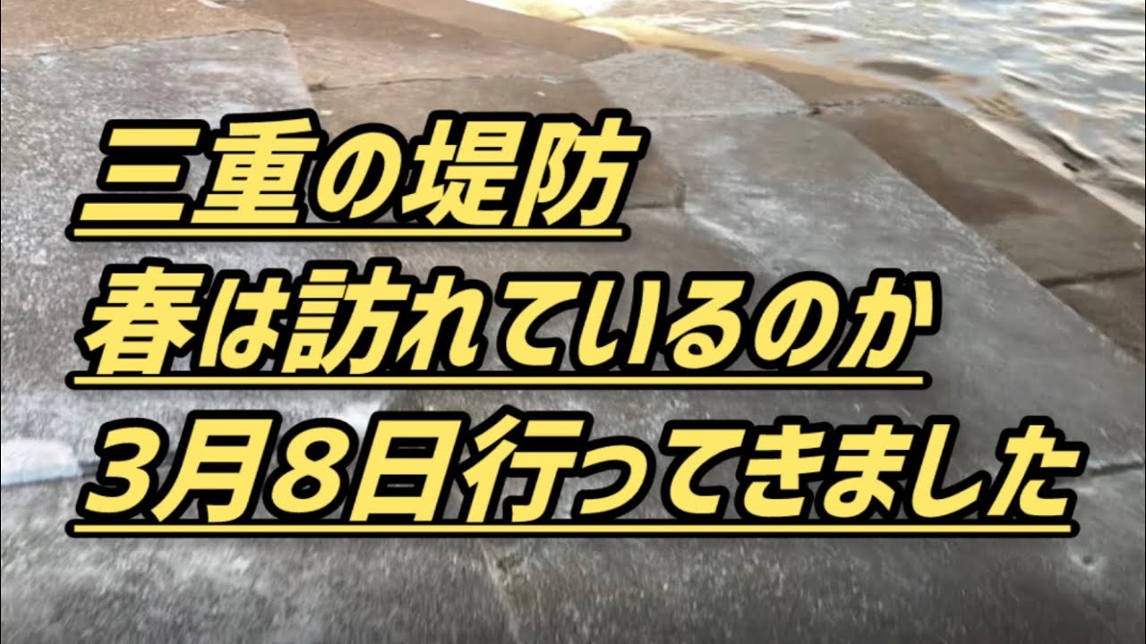 【堤防から春イカ狙い！】ヤエン釣り【釣りキチ株式会社のあおちゃんさんとお会いした日！】