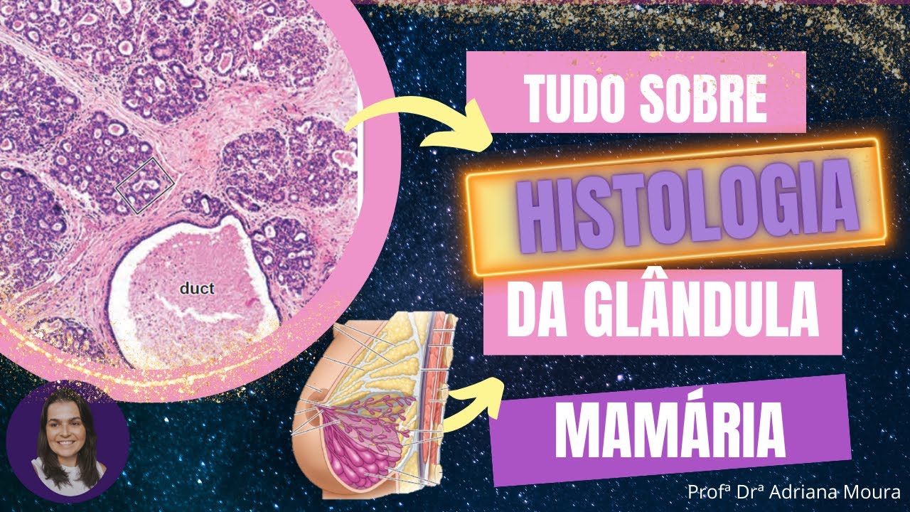 Glândula Mamária