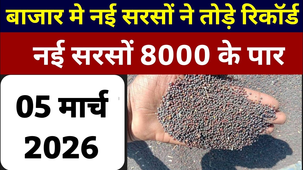 आज 05 मार्च 2026 सरसों का ताजा मंडी भाव l सरसों में आज बड़ी तेजी l सरसों के मंडी भाव 