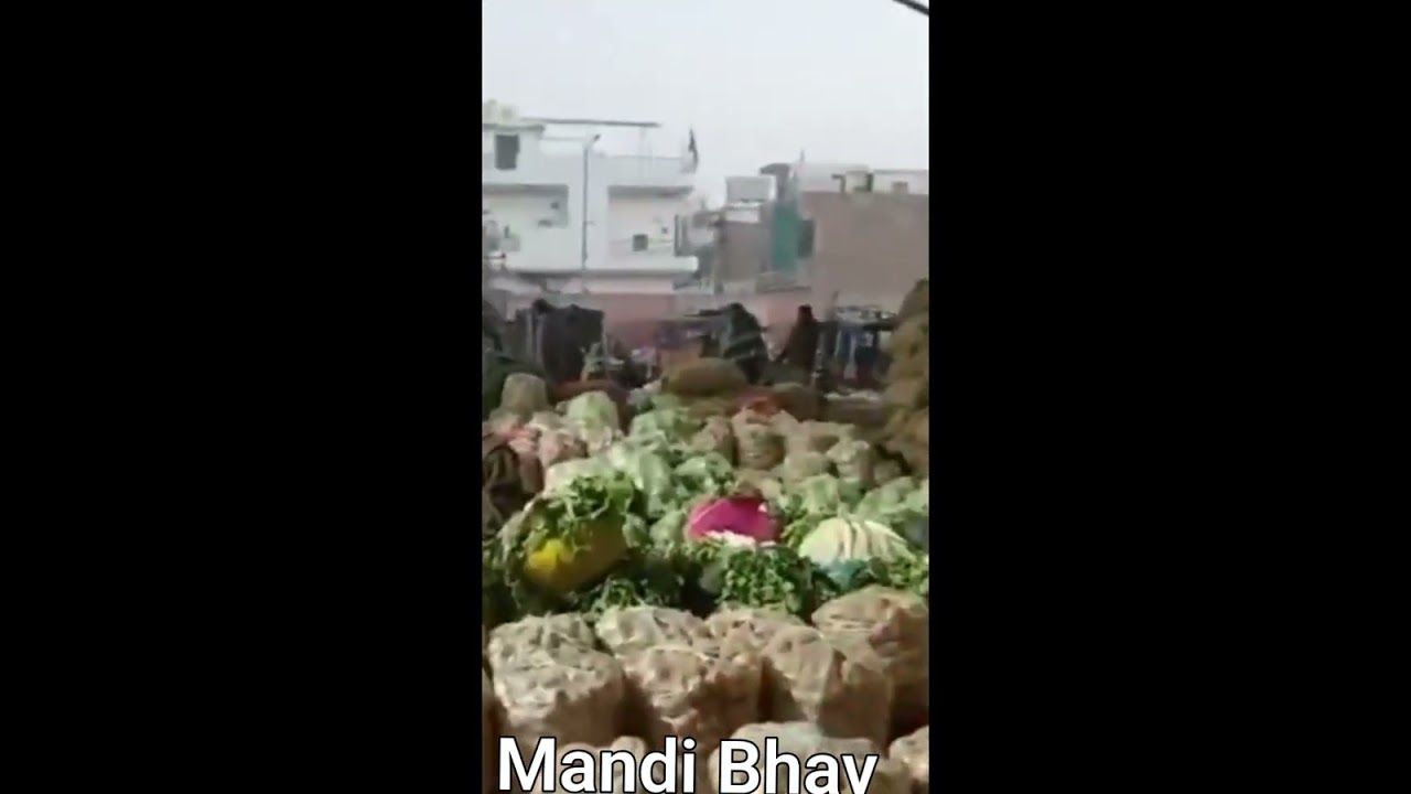 Mandi Bhav 