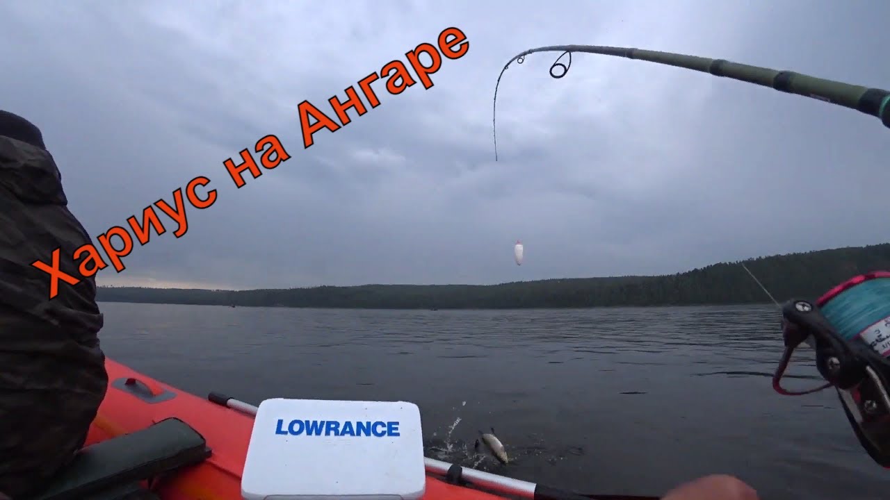 Они гнут удочки в дугу! Хариус Ангары!