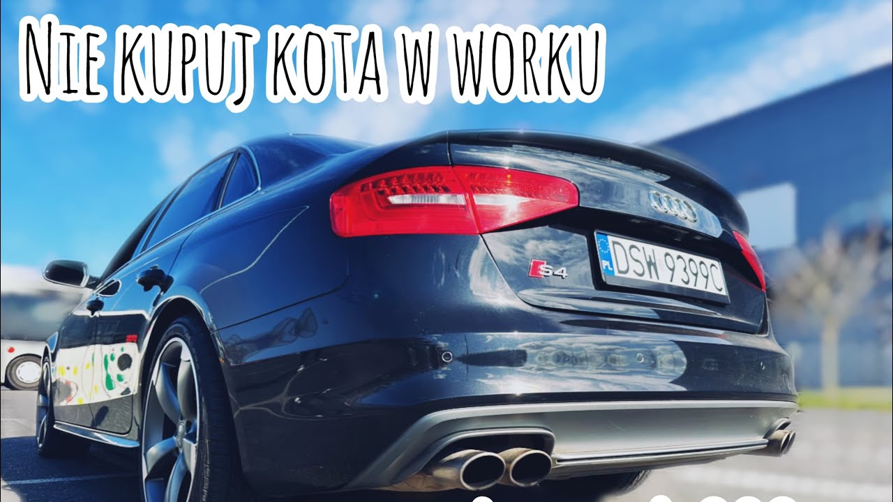 NIGDY NIE KUPUJ KOTA W WORKU  AUDI S4 333HP