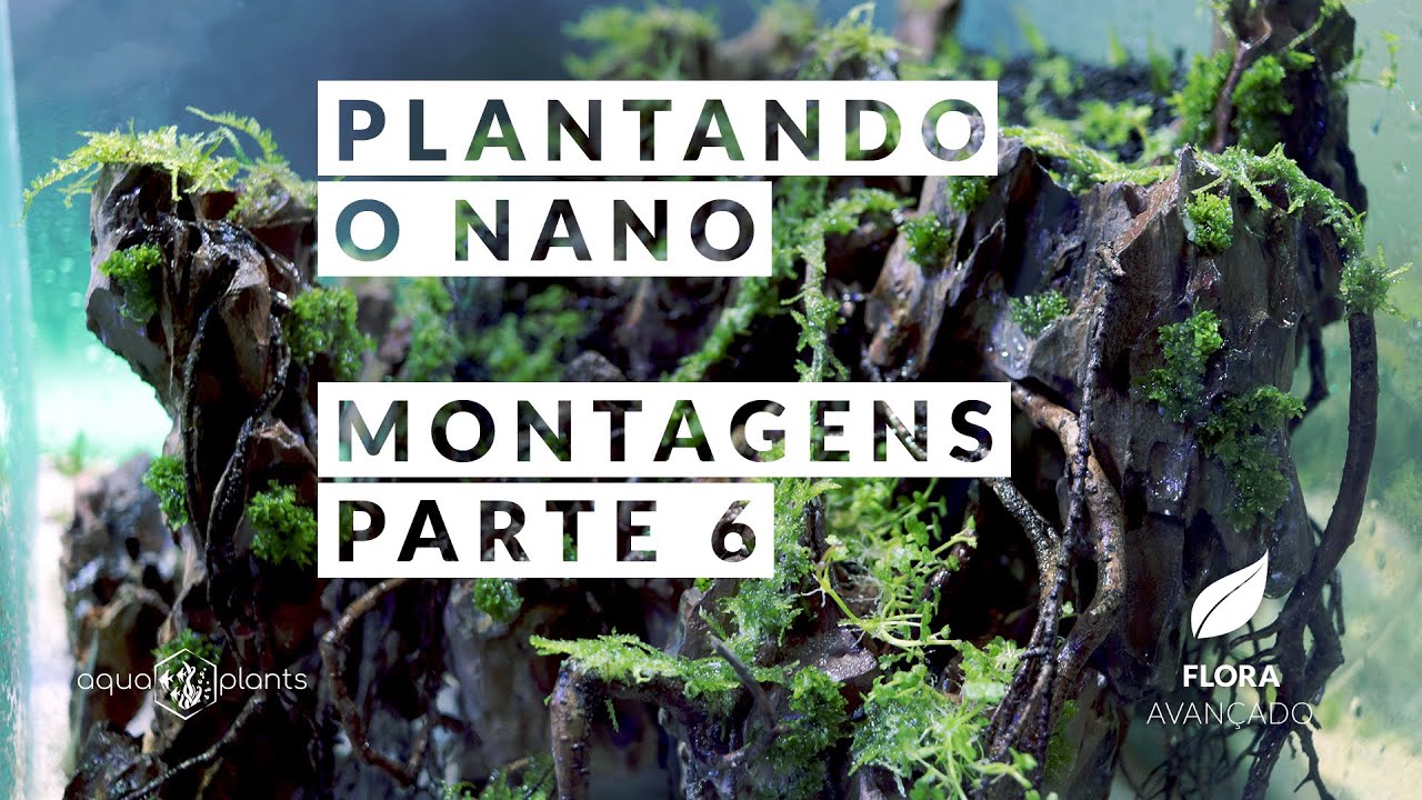 Aquário Plantado - Plantando o Nano - Montagens Parte 6 - Flora - Avançado