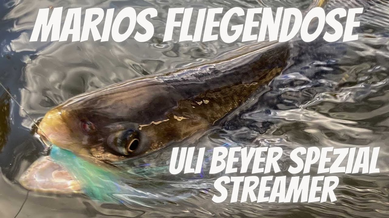 Marios Fliegendose - Uli Beyer Special Streamer - Die Killerfarbe?