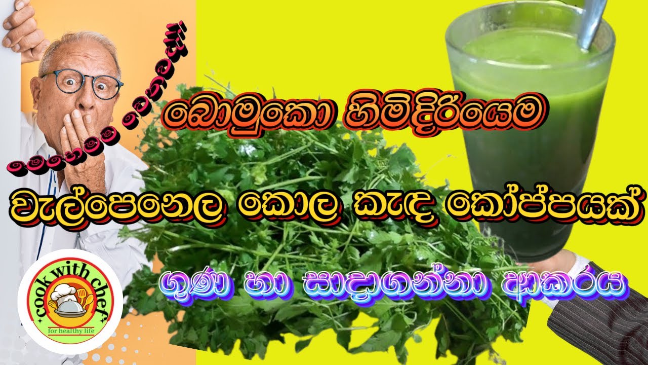 වැල්පෙනෙල කැඳ / kolakenda / herbalporridge / වැල්පෙනෙල වල ඖෂධීය ගුණය / ඔසු කැඳ  / SriLankanFlavors