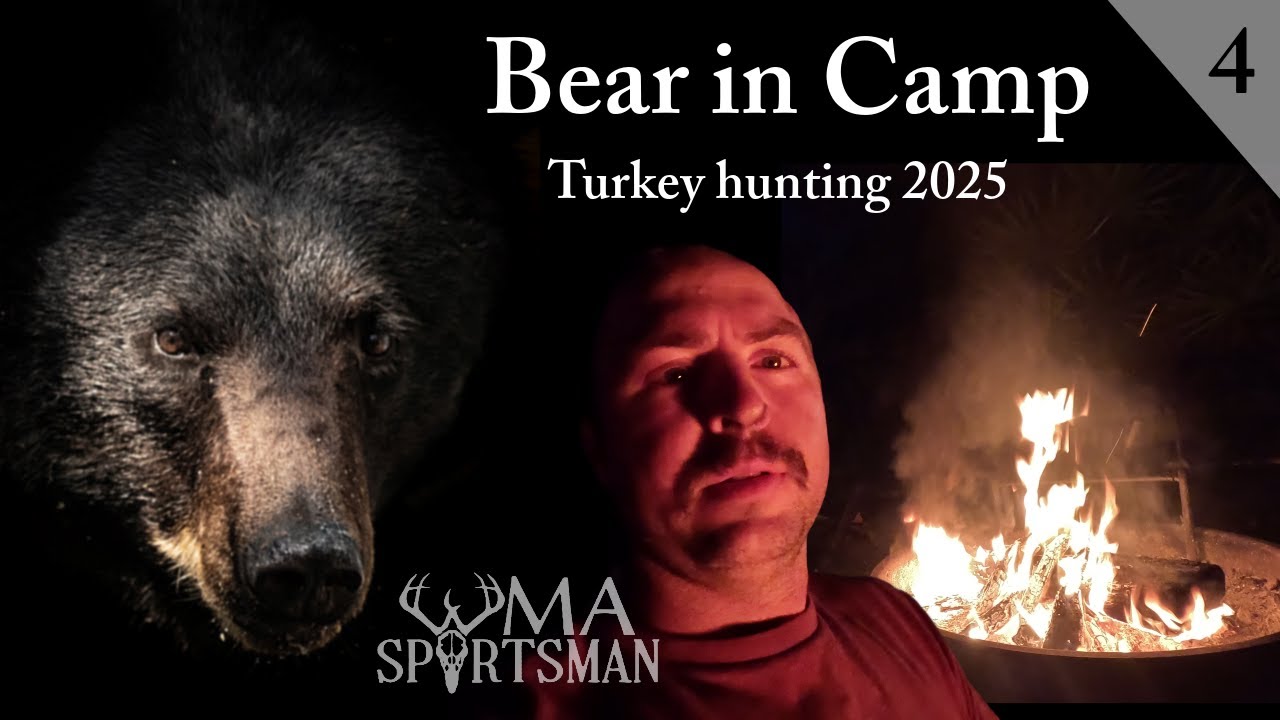 2 Days - Turkey Hunting & Camping - Florida public land - Bear comes through camp
