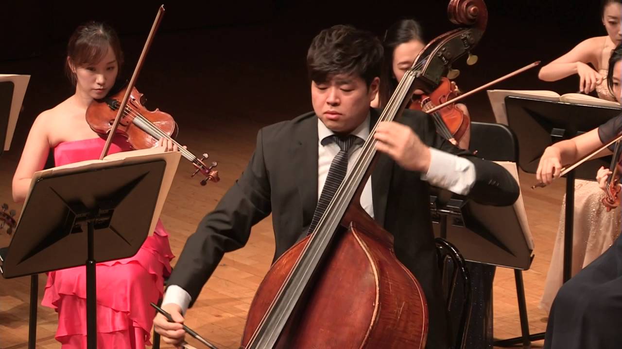 G. Bottesini - Allegro di Concerto 'Alla Mendelssohn'