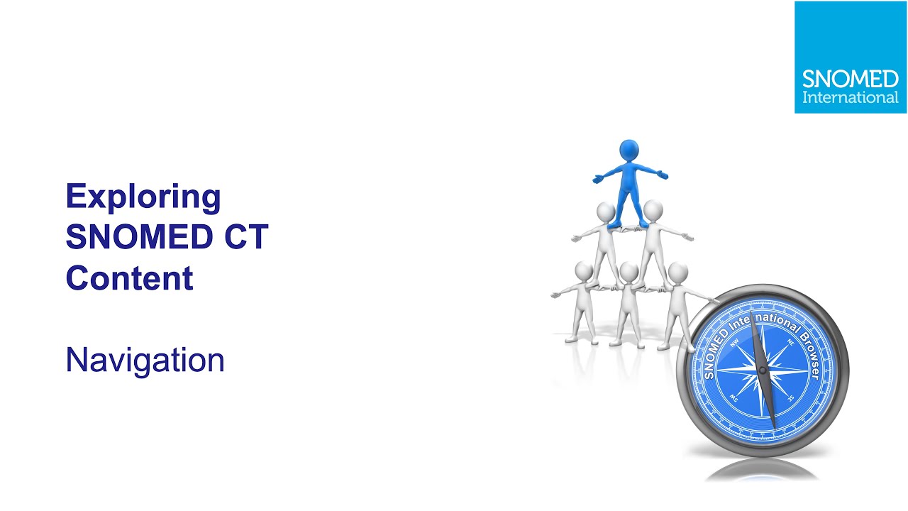 Изучение SNOMED CT &mdash; Навигация