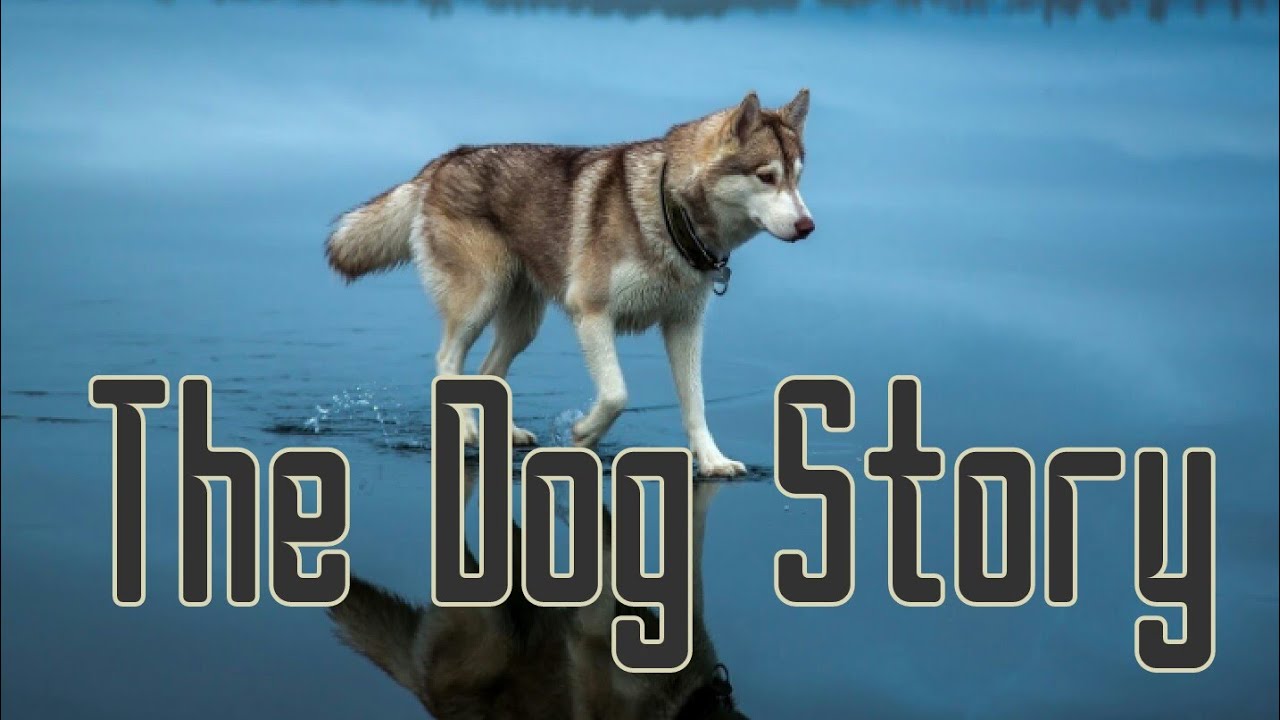 inspirational Dog Story by Jaskaran Singh | Best motivational story in hindi