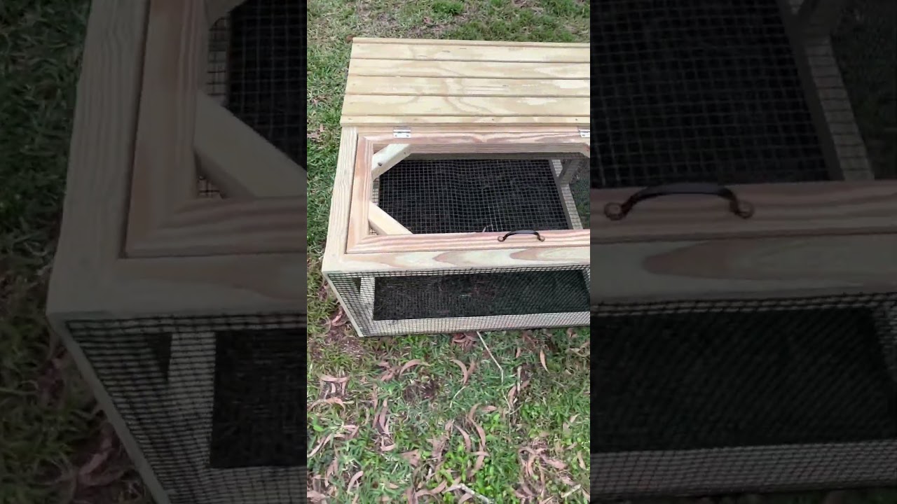 Awesome Brooder or reptile cage, pressure treated wood with pvc coated welded wire. 