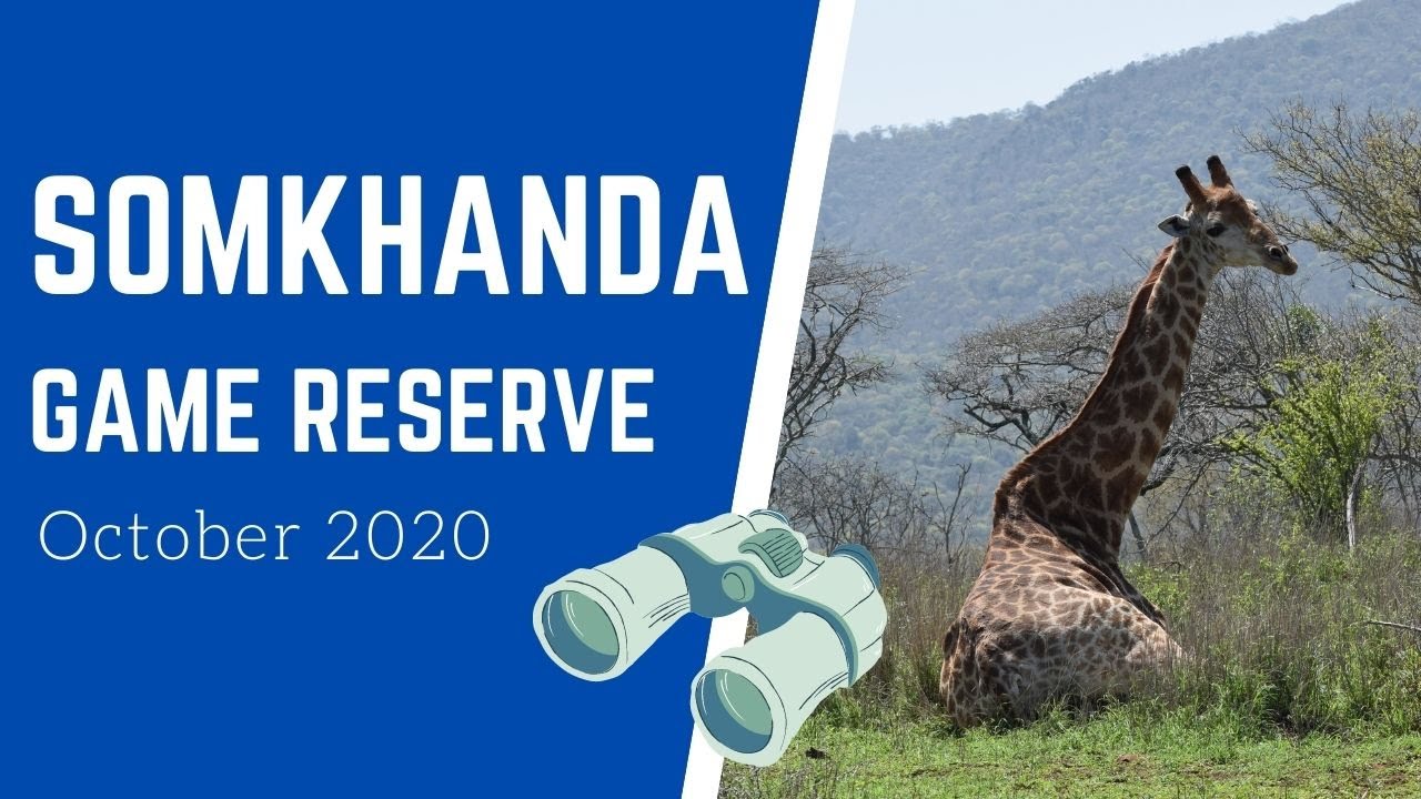 SOMKHANDA GAME RESERVE / OCT 2020