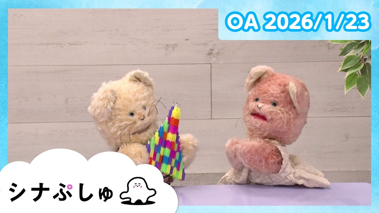 【赤ちゃんが喜ぶ】シナぷしゅ公式26/01/23│赤ちゃんが泣き止む・知育の動画