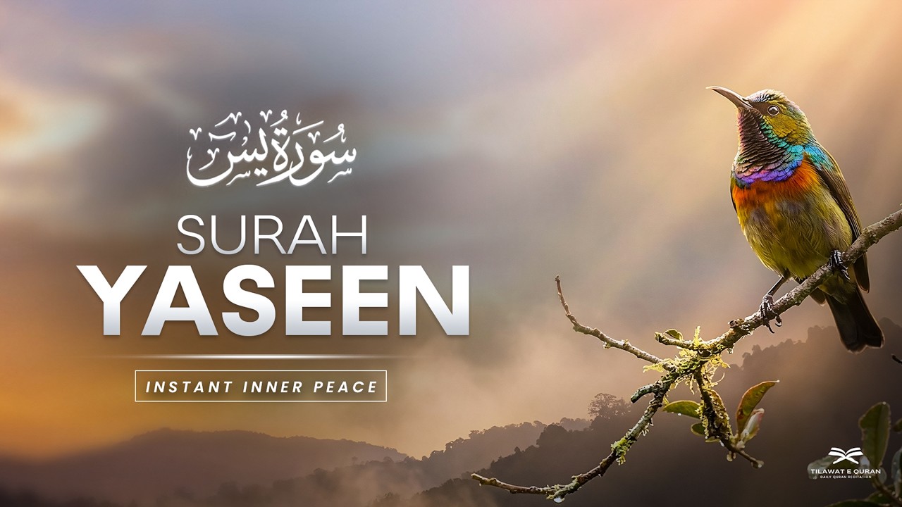 Surah Yaseen (Yasin) | The Heart of Quran for Immediate Stress Relief & Protection
