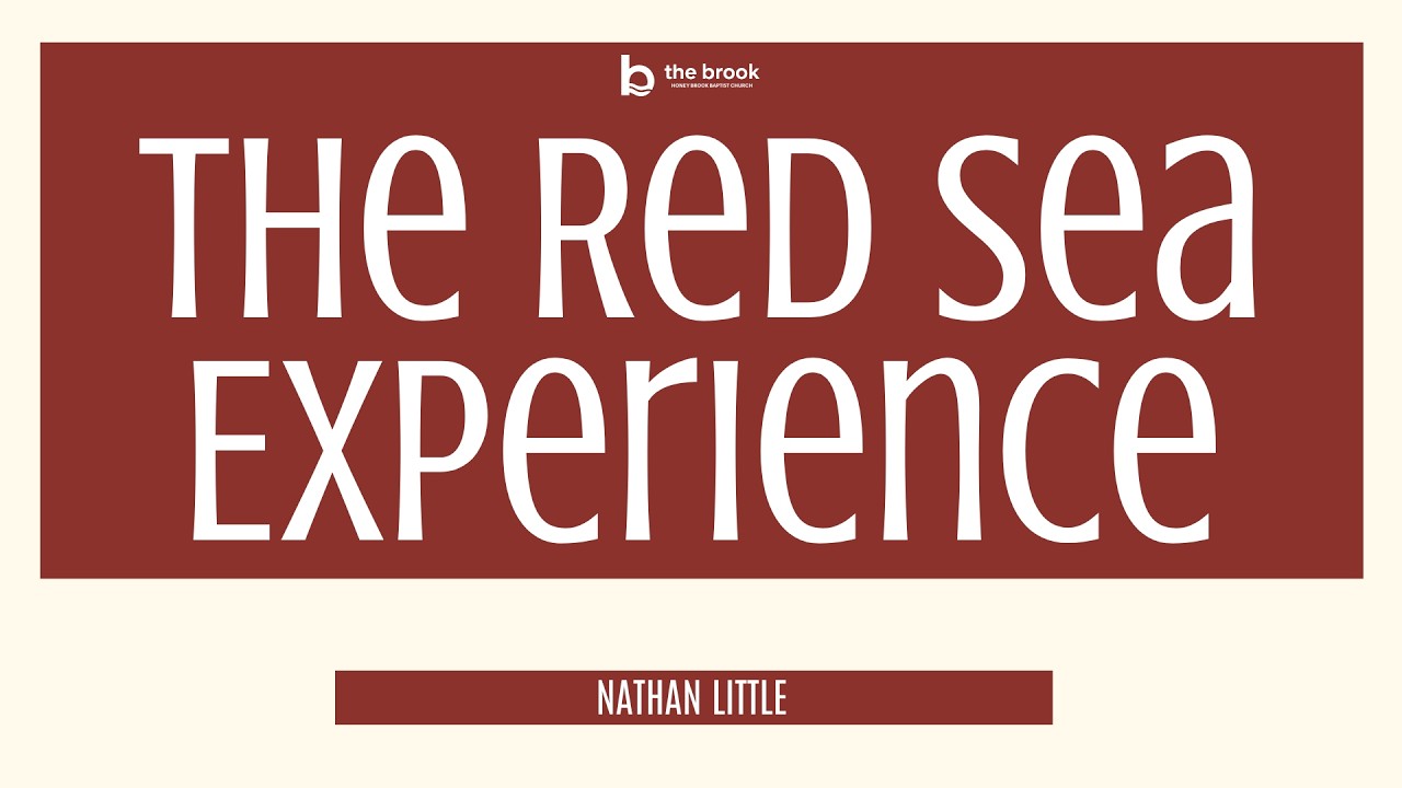 A Red Sea Experience | 3.1.26 | Nathan Little