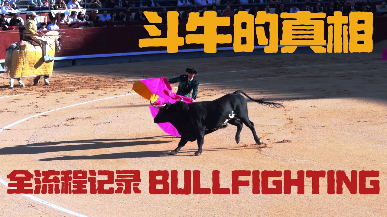 西班牙斗牛｜全流程记录（含赦免）那些你或许不知道的事