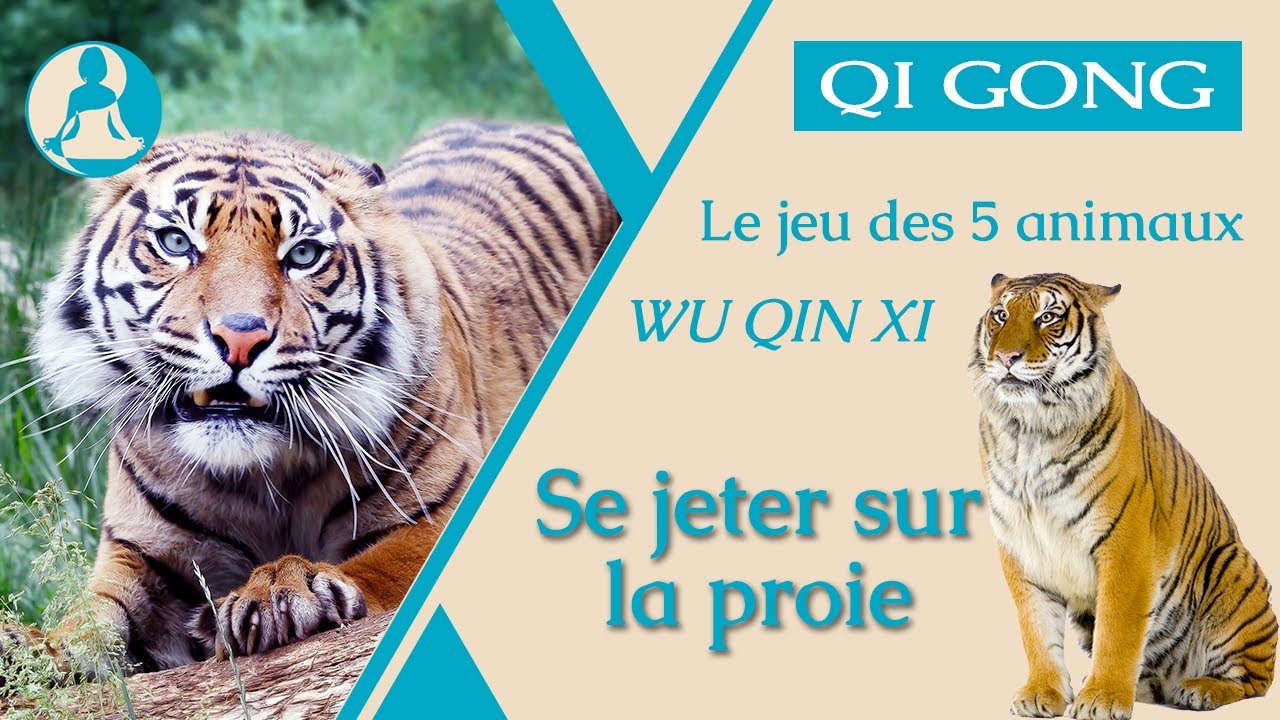Qi Gong : Se jeter sur la proie, le jeu des 5 animaux