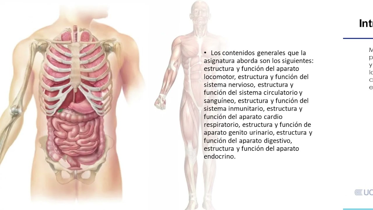 Presentaci&oacute;n de la asignatura: Morfofisiolog&iacute;a