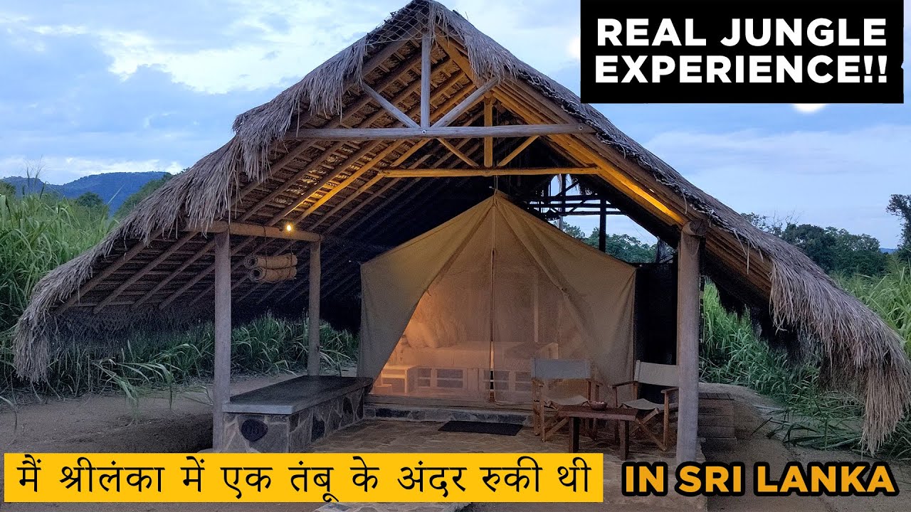 Best Sri Lanka Visit | श्रीलंका में एक तंबू के अंदर रुकी  | Real Jungle Stay@srilankatourism_SLTPB